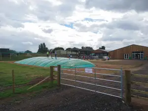 Amerton Farm & Billy's Farm Barn