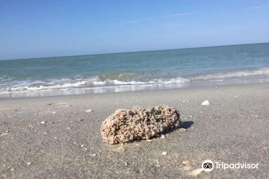 Tarpon Bay Beach