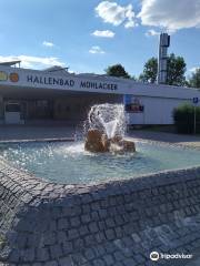 Hallenbad Mühlacker