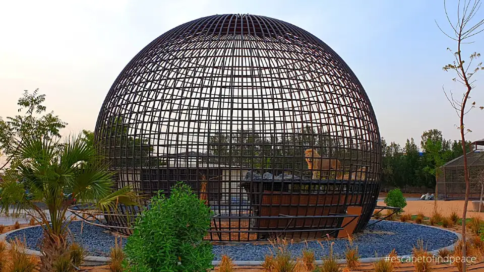 4_The Zoo Wild Life Park Umm Al Quwain