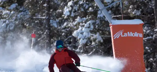 Hotels in Alp