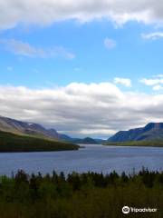 Trout River Pond