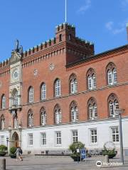 Rathaus Odense