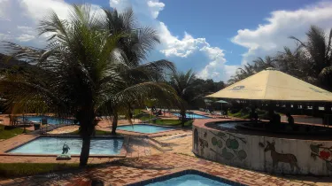 Aruana