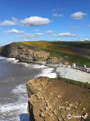 Dunraven Bay