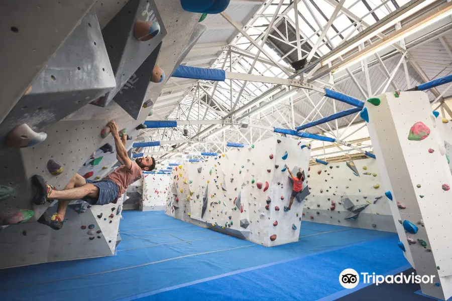 Arch Climbing Wall: Building One +