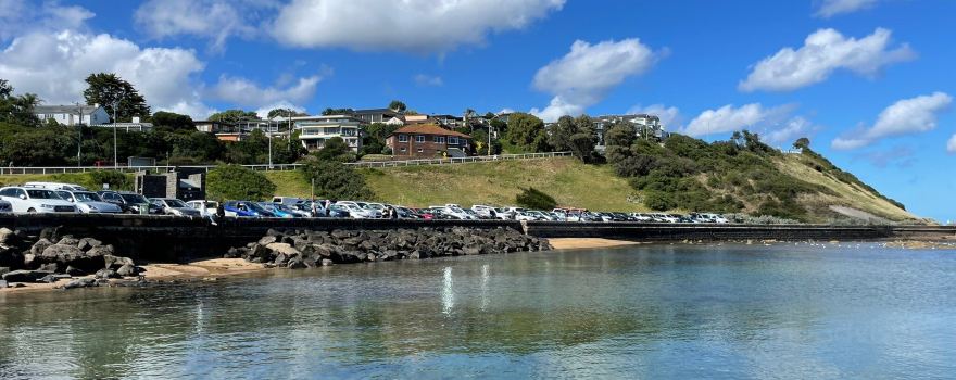 Frankston South
