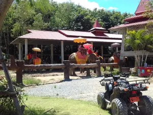 Chang Puak Elephant Camp Hat Yai