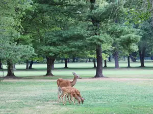 Algonkian Regional Park