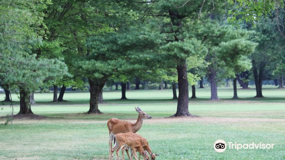 Algonkian Regional Park