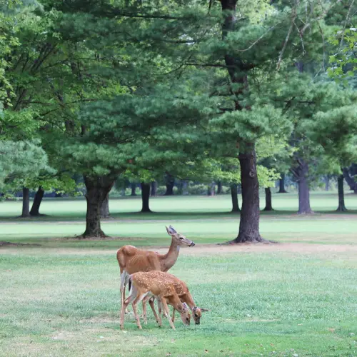 Algonkian Regional Park
