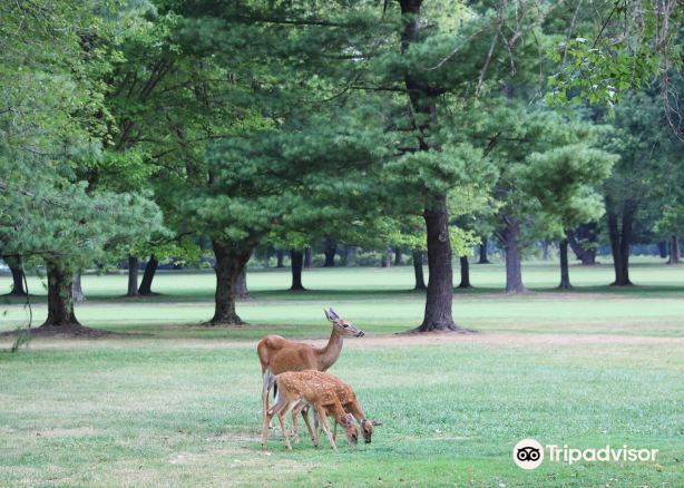 Algonkian Regional Park