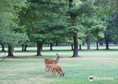 Algonkian Regional Park