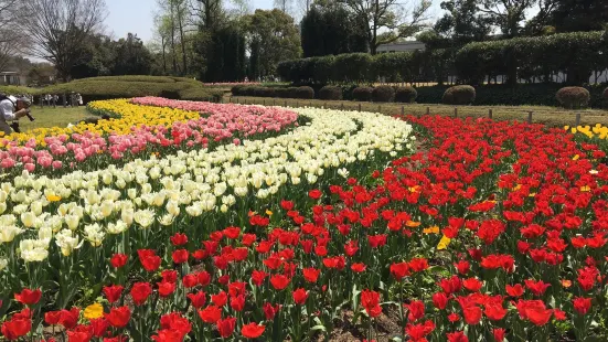 兵庫県立フラワーセンター