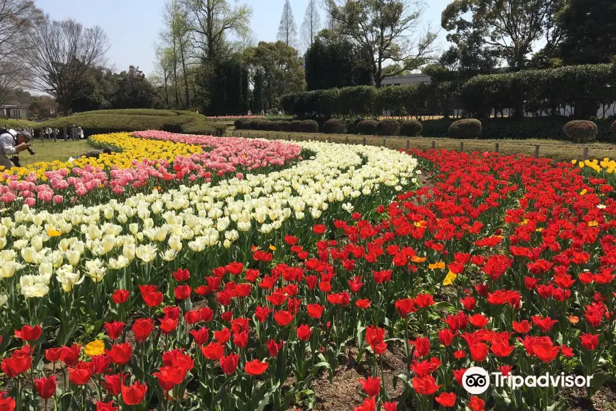 兵庫県立フラワーセンター