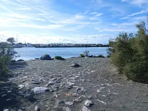 Sacca degli Scardovari