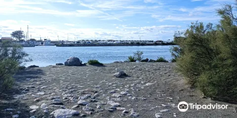 Sacca degli Scardovari