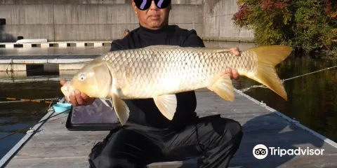 Negoro Sakuradai Fishing Center