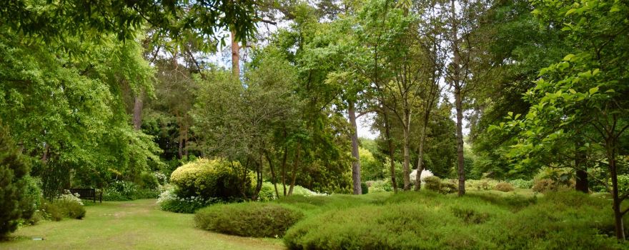 Arboretum des Grandes Bruyeres