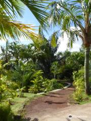 Parc des Palmiers
