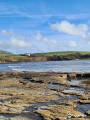 Kimmeridge Bay