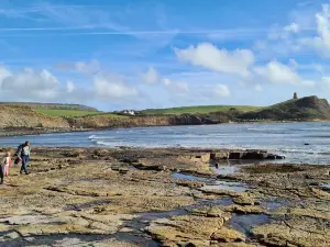 Kimmeridge Bay