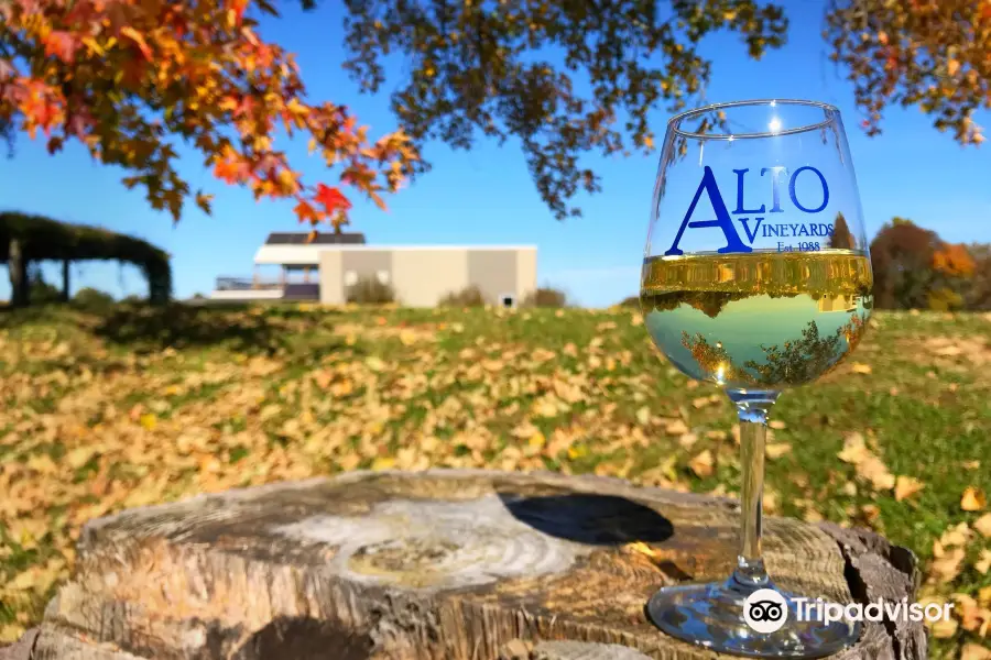 Alto Vineyards