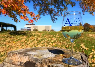 Alto Vineyards