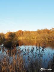 Ashby Ville Nature Reserve