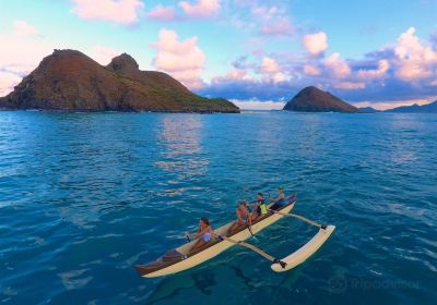 Hawaiian Paddle Sports - Kailua