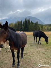 Elk Ranch Flats Turnout