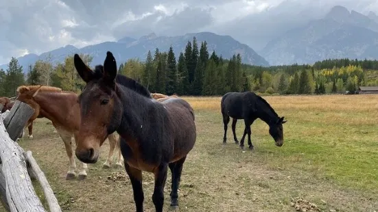 Elk Ranch Flats Turnout