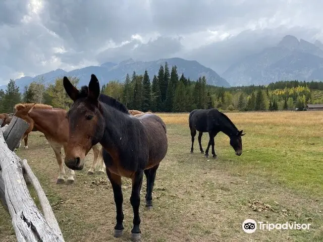 Elk Ranch Flats Turnout