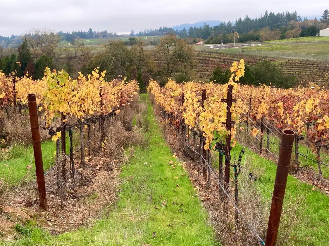 Hotel in zona Mazzocco Sonoma Winery