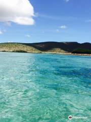 Playa El Tecolote (Tecolote Beach)