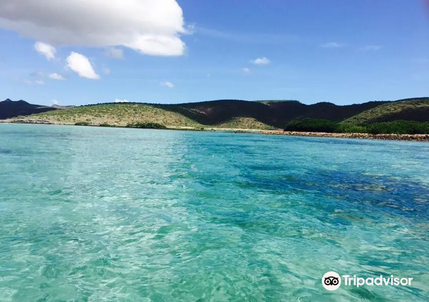 Playa El Tecolote (Tecolote Beach)