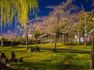 Kaiseiyama Park