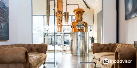 Salcombe Distilling Company