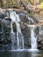 Lilydale Falls