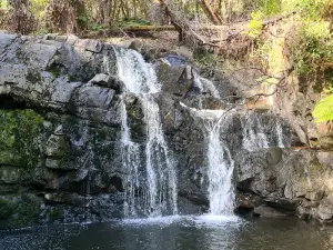 Lilydale Falls