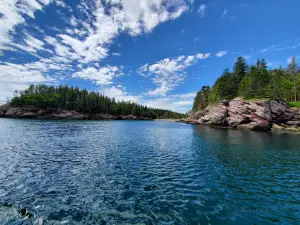 Downeast Charter Boat Tours