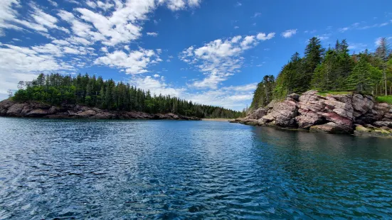 Downeast Charter Boat Tours