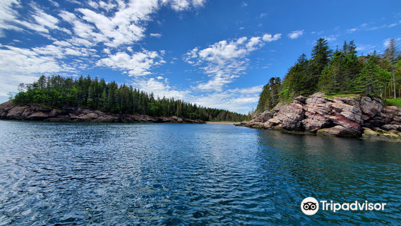 Downeast Charter Boat Tours