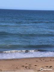 Coalcliff Beach