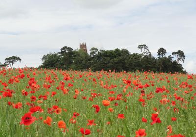 Faringdon Folly Tower and Woodland