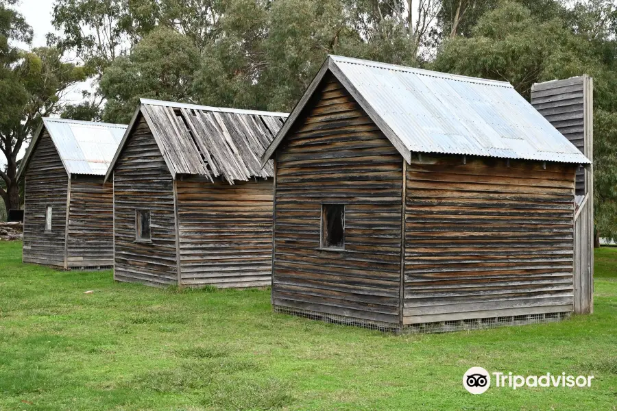 Alexandra Timber Tramway and Museum