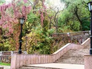 Depaldo Stone Steps