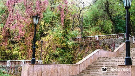 Depaldo Stone Steps