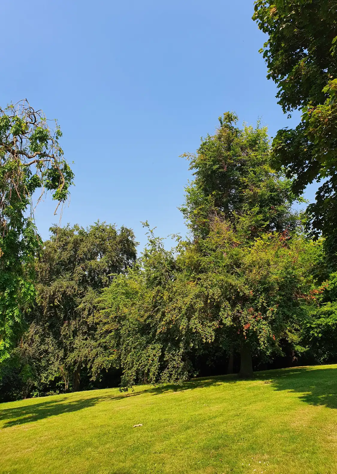 Hotels near Forest Recreation Ground