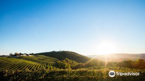 Carter Mountain Orchard and Country Store